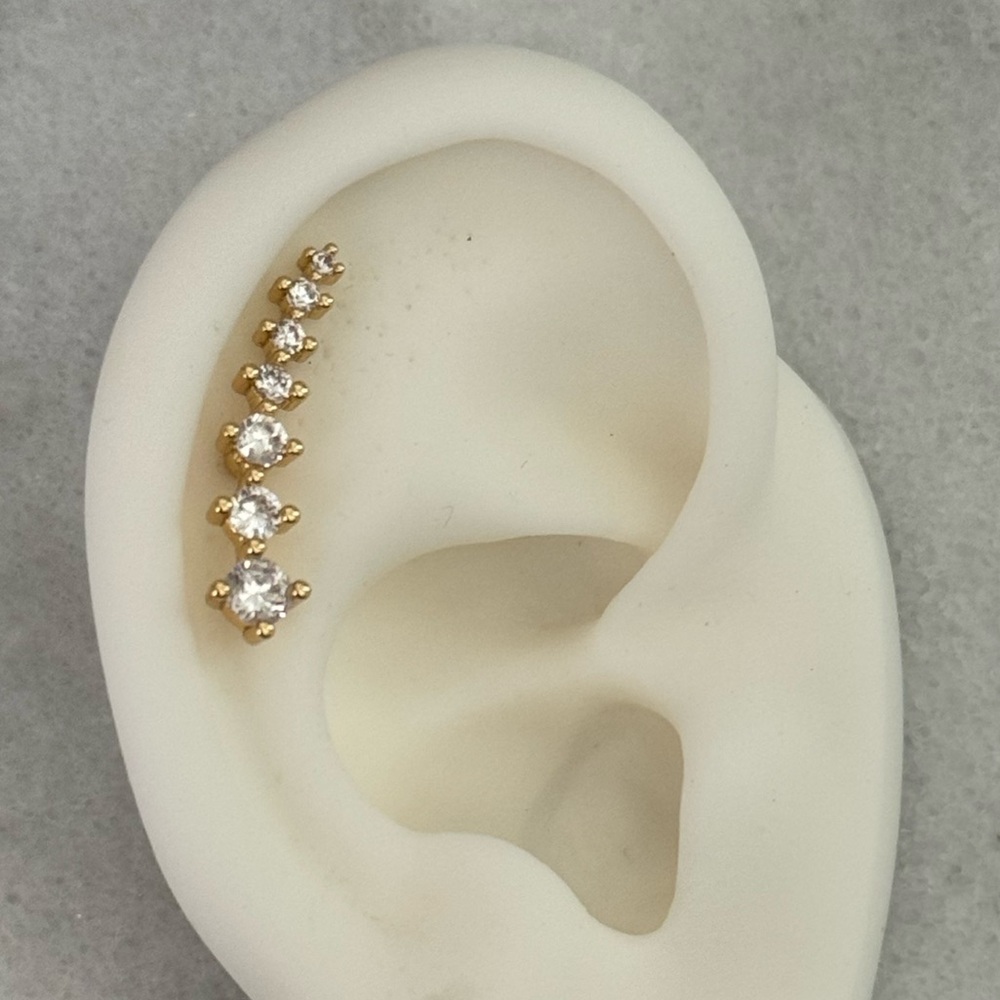 COPY - Gold Crystal Arch Cartilage Earring
Brand New - Picture 2 of 4